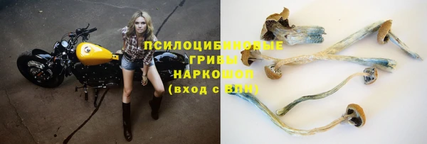 мдпв Горно-Алтайск