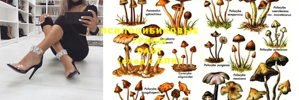 герыч Горнозаводск