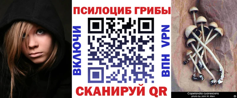 Купить  Видное  Псилоцибиновые грибы прущие грибы 